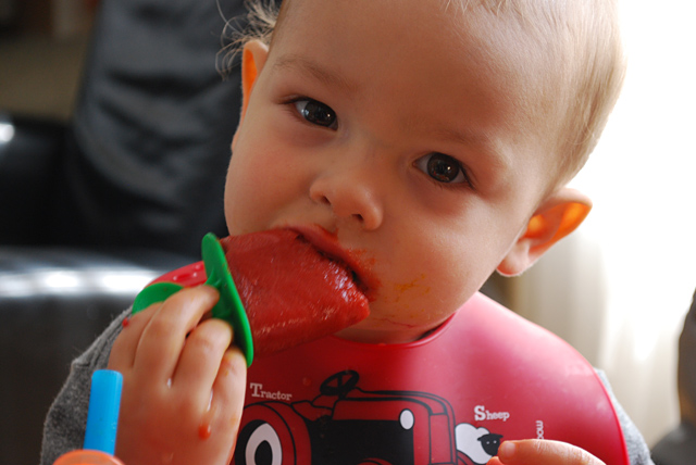 Raspberry Carrot Popsicle Recipe