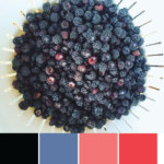 Color Inspiration: Summer Berry Picking