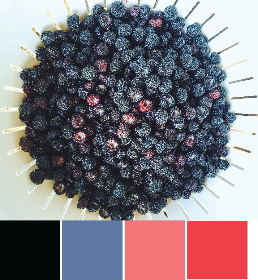 Color Inspiration: Summer Berry Picking