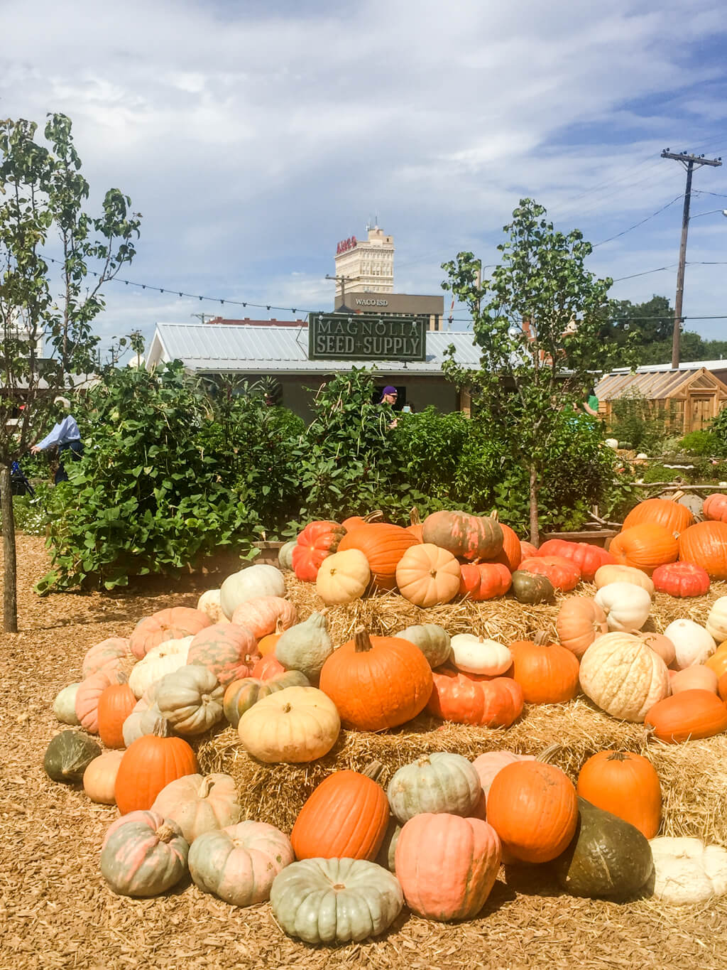 Fall pumpkin display at Magnolia Market and Silos, Waco, TX
