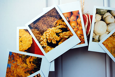 Merriment :: Urban wreath for fall using Polaroids by Kathy Beymer and Heather Crosby