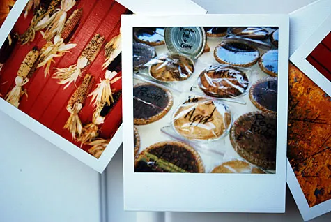 Merriment :: Urban wreath for fall using Polaroids by Kathy Beymer and Heather Crosby